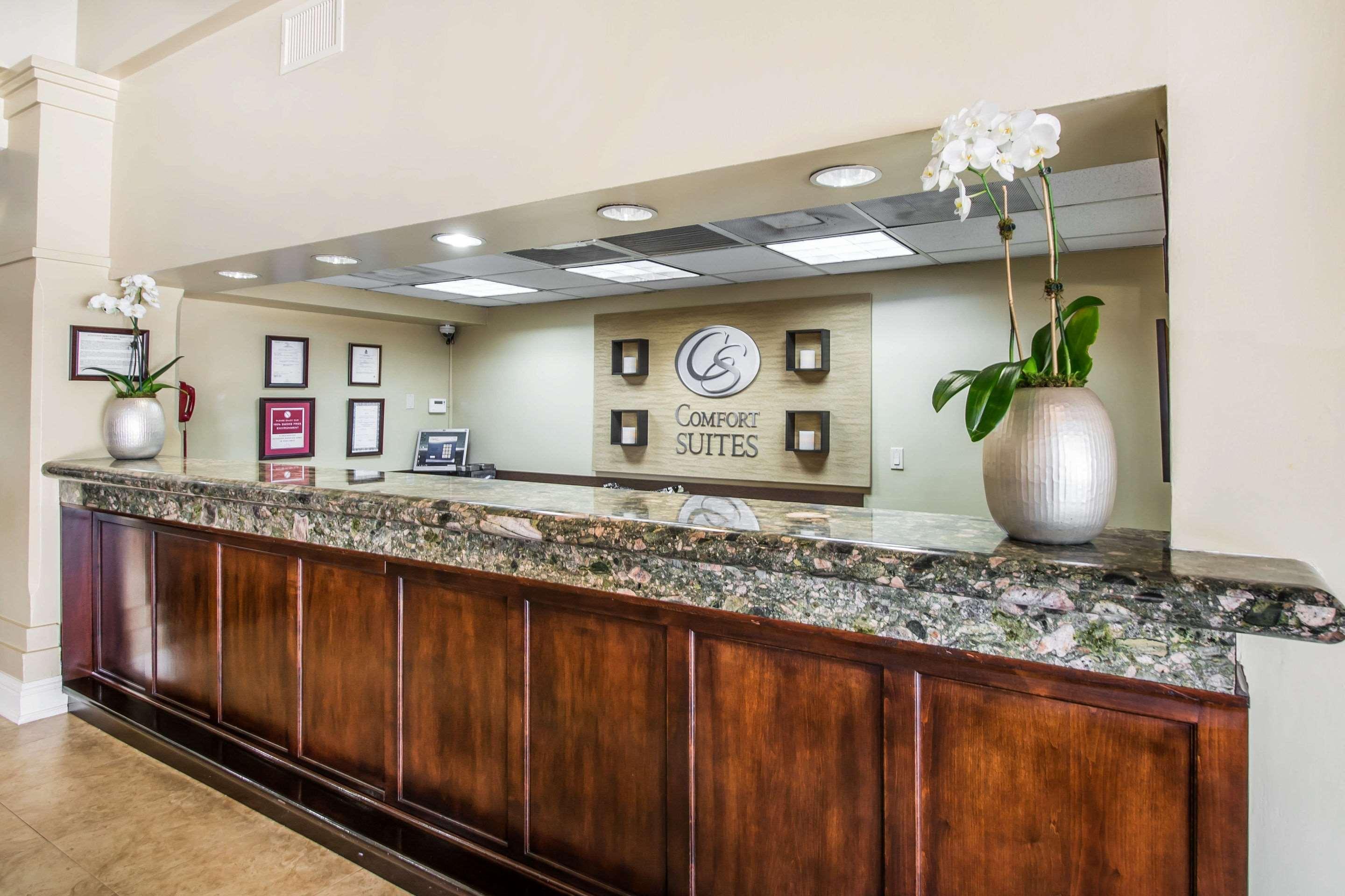 Comfort Suites Paradise Island Creek Village Εξωτερικό φωτογραφία